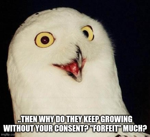 O RLY? | ..THEN WHY DO THEY KEEP GROWING WITHOUT YOUR CONSENT? "FORFEIT" MUCH? | image tagged in o rly | made w/ Imgflip meme maker