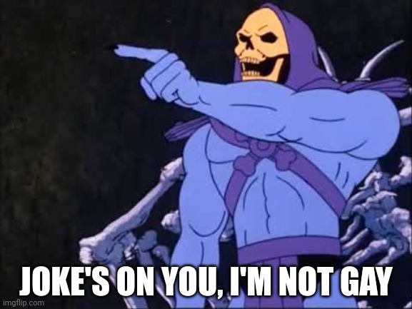Skeletor | JOKE'S ON YOU, I'M NOT GAY | image tagged in skeletor | made w/ Imgflip meme maker
