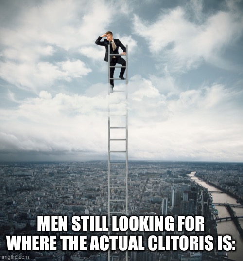 MEN STILL LOOKING FOR WHERE THE ACTUAL CLITORIS IS: | image tagged in searching | made w/ Imgflip meme maker