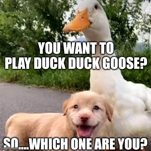 Happy puppy Doubting goose | YOU WANT TO PLAY DUCK DUCK GOOSE? SO....WHICH ONE ARE YOU? | image tagged in puppy,goose,duck,skeptical | made w/ Imgflip meme maker