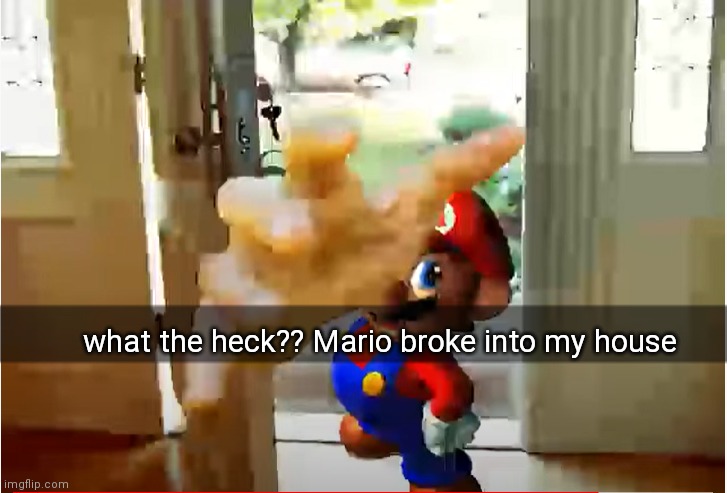 bruh | what the heck?? Mario broke into my house | image tagged in mario stealing your liver | made w/ Imgflip meme maker