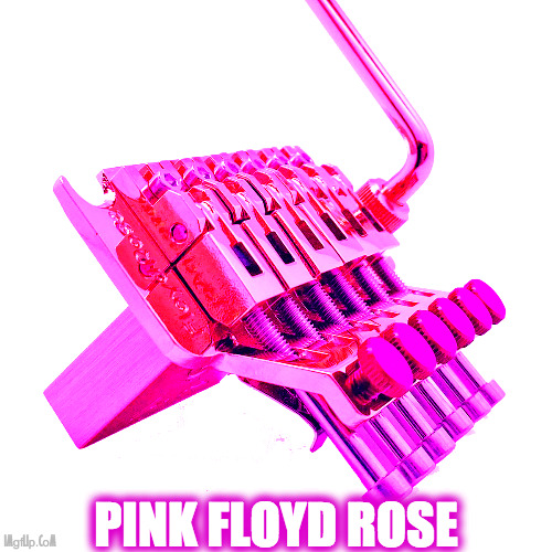 pink floyd rose | PINK FLOYD ROSE | image tagged in pink floyd,floyd rose,guitar | made w/ Imgflip meme maker