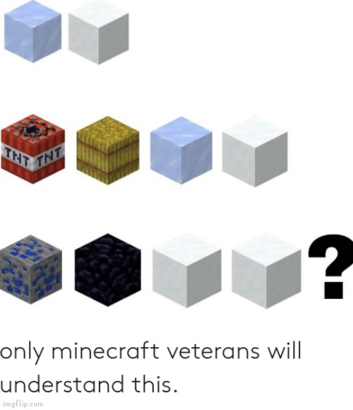 I don't know either | image tagged in minecraft,veteran,memes,old | made w/ Imgflip meme maker