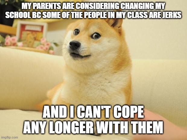 I have tried, but I think there's gonna be more jerks if I go to another school, so idk | MY PARENTS ARE CONSIDERING CHANGING MY SCHOOL BC SOME OF THE PEOPLE IN MY CLASS ARE JERKS; AND I CAN'T COPE ANY LONGER WITH THEM | image tagged in doge 2 | made w/ Imgflip meme maker
