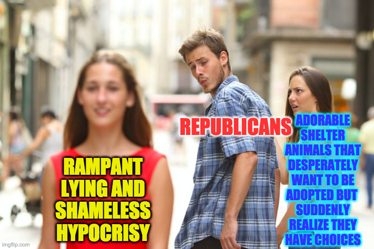 Choose wisely. |  REPUBLICANS; ADORABLE
SHELTER
ANIMALS THAT
DESPERATELY
WANT TO BE
ADOPTED BUT 
SUDDENLY
REALIZE THEY
HAVE CHOICES; RAMPANT
LYING AND
SHAMELESS
HYPOCRISY | image tagged in memes,distracted boyfriend,republican hypocrisy,choose wisely | made w/ Imgflip meme maker