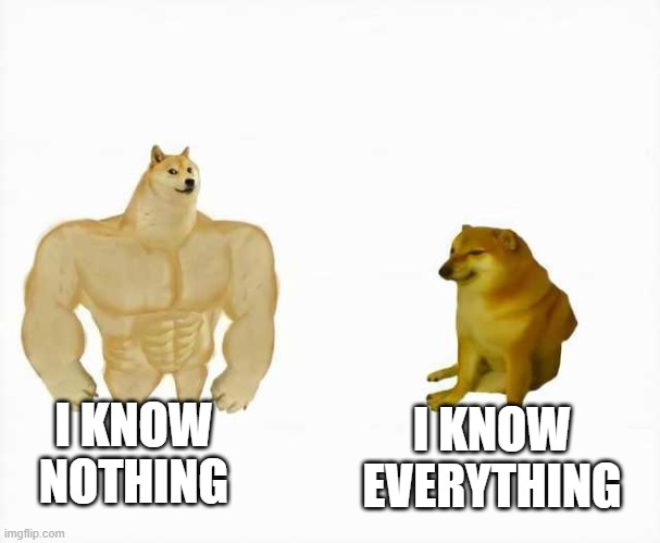 DUNNING KRUGER EFFECT | I KNOW NOTHING; I KNOW EVERYTHING | image tagged in strong dog vs weak dog | made w/ Imgflip meme maker