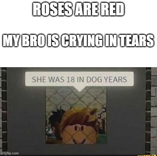 shes 18 in dog years | ROSES ARE RED; MY BRO IS CRYING IN TEARS | image tagged in roblox meme,memes,gaming,roblox | made w/ Imgflip meme maker