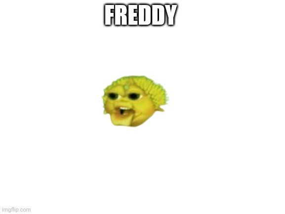 Blank White Template | FREDDY | image tagged in blank white template | made w/ Imgflip meme maker