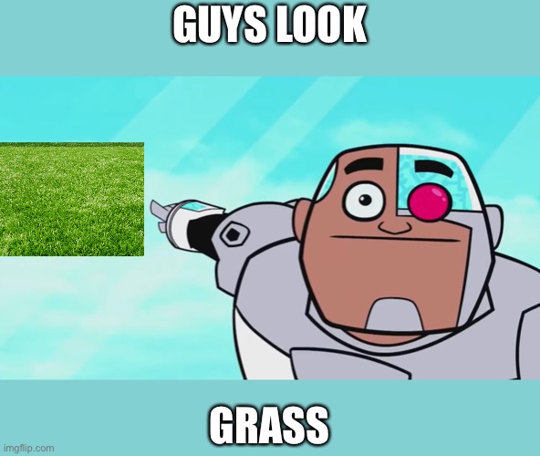 Touch it | GUYS LOOK; GRASS | image tagged in guys look a birdie,grass,touch | made w/ Imgflip meme maker