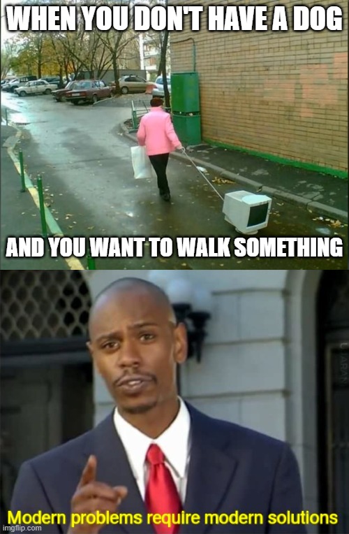 WHEN YOU DON'T HAVE A DOG; AND YOU WANT TO WALK SOMETHING | image tagged in modern problems require modern solutions | made w/ Imgflip meme maker