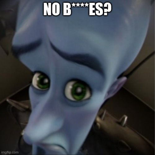 Megamind peeking | NO B****ES? | image tagged in megamind peeking | made w/ Imgflip meme maker