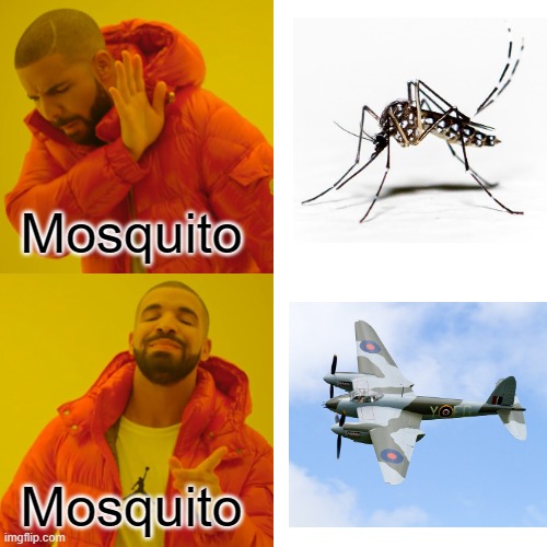 Mosquito or Mosquito? | Mosquito; Mosquito | image tagged in memes,drake hotline bling,mosquito,mosquito attack | made w/ Imgflip meme maker