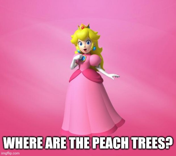 Princess Peach | WHERE ARE THE PEACH TREES? | image tagged in princess peach | made w/ Imgflip meme maker