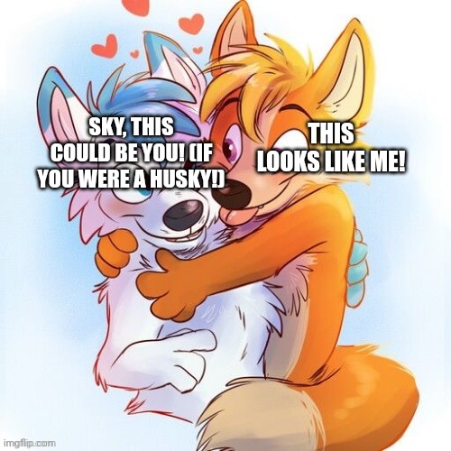 Furry hug (by SussyCinderace_hehe) | SKY, THIS COULD BE YOU! (IF YOU WERE A HUSKY!); THIS LOOKS LIKE ME! | image tagged in furry hug by sussycinderace_hehe | made w/ Imgflip meme maker
