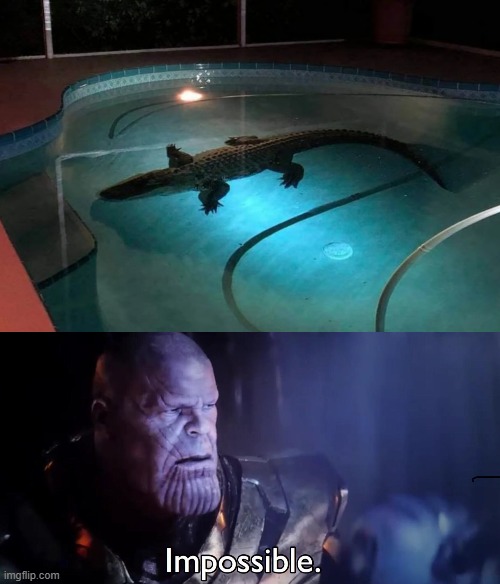 so that's why the swimming pool was closed | image tagged in thanos impossible | made w/ Imgflip meme maker