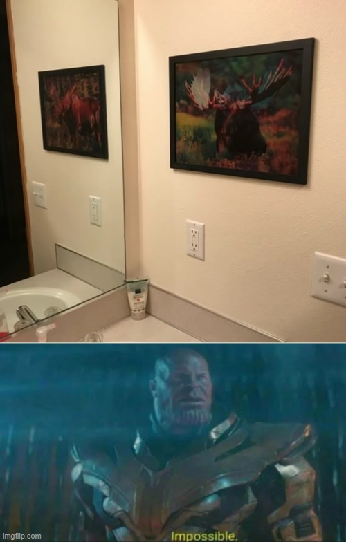 the picture shows different picture in the mirror | image tagged in thanos impossible | made w/ Imgflip meme maker