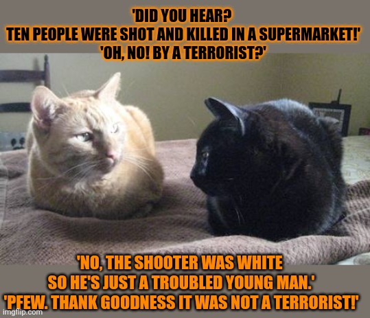 This #lolcat wonders why skin colour is the only difference between a troubled young man and a terrorist |  'DID YOU HEAR? 
TEN PEOPLE WERE SHOT AND KILLED IN A SUPERMARKET!'
'OH, NO! BY A TERRORIST?'; 'NO, THE SHOOTER WAS WHITE 
SO HE'S JUST A TROUBLED YOUNG MAN.'
'PFEW. THANK GOODNESS IT WAS NOT A TERRORIST!' | image tagged in racism,lolcat,think about it,terrorism,hypocrisy | made w/ Imgflip meme maker