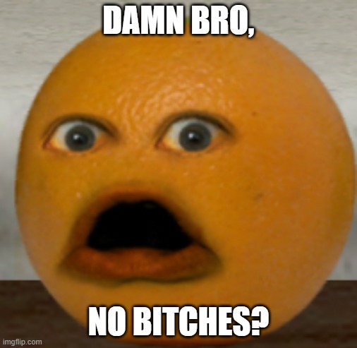 damn bro thats hard | DAMN BRO, NO BITCHES? | image tagged in shocked orange | made w/ Imgflip meme maker
