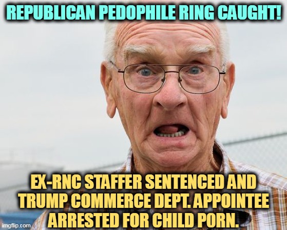 The Republicans' all-purpose smear boomerangs back on them. Sorry, Elise. |  REPUBLICAN PEDOPHILE RING CAUGHT! EX-RNC STAFFER SENTENCED AND
TRUMP COMMERCE DEPT. APPOINTEE
ARRESTED FOR CHILD P0RN. | image tagged in republicans,gop,pedo,ring,caught | made w/ Imgflip meme maker