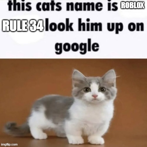 RULE 34; ROBLOX | made w/ Imgflip meme maker