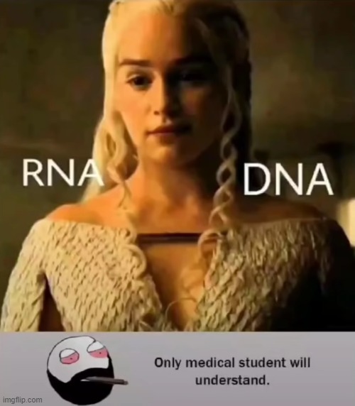 image tagged in repost | made w/ Imgflip meme maker