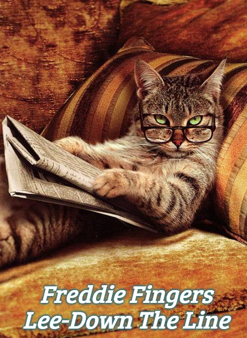 cat reading | Freddie Fingers Lee-Down The Line | image tagged in cat reading,slavic,freddie fingers lee,down the line,freddie fingaz,blacklabel jedih | made w/ Imgflip meme maker
