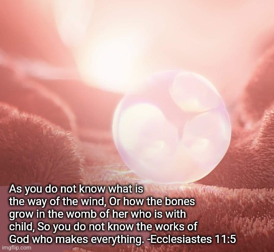 Life | As you do not know what is the way of the wind, Or how the bones grow in the womb of her who is with child, So you do not know the works of God who makes everything. -Ecclesiastes 11:5 | image tagged in baby,pro life,scripture,christianity | made w/ Imgflip meme maker