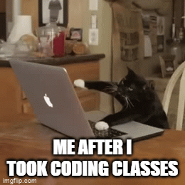 Me after taking coding classes - Imgflip