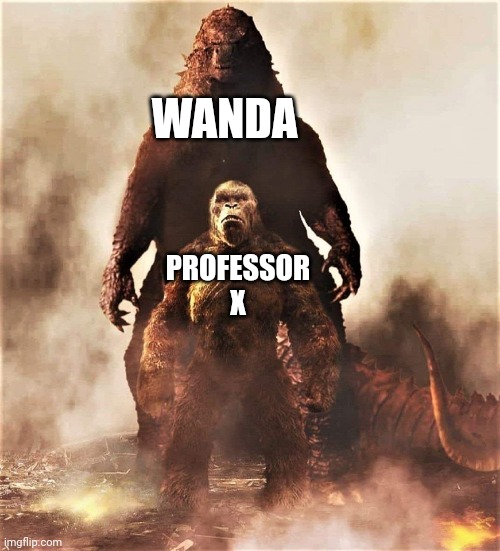 Multiverse of madness in a nutshell |  WANDA; PROFESSOR X | image tagged in godzilla vs kong,memes,funny,doctor strange in the multiverse of madness,marvel,cameo | made w/ Imgflip meme maker