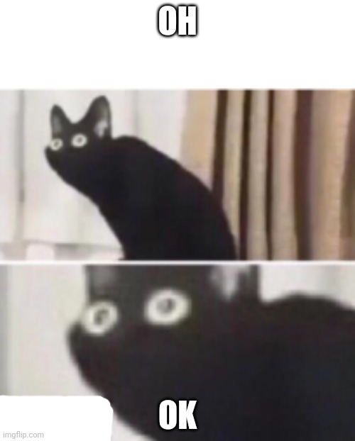 Oh no cat | OH OK | image tagged in oh no cat | made w/ Imgflip meme maker
