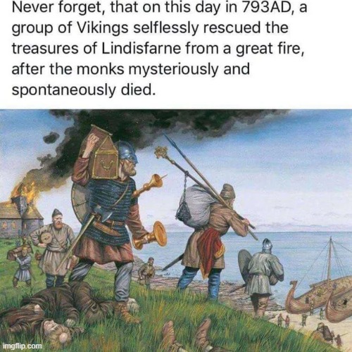 Nordic Sarcasm | image tagged in vikings | made w/ Imgflip meme maker