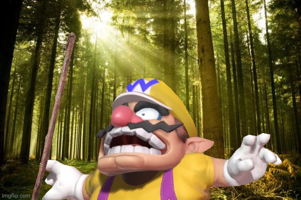 Pov: You beating Wario up to death with a stick.mp3 | image tagged in wario dies,wario,pov,stick | made w/ Imgflip meme maker