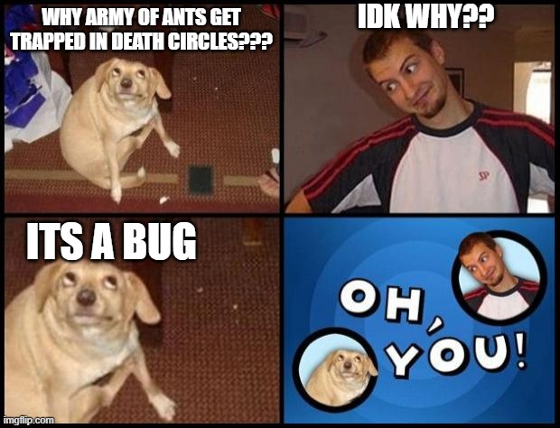 Its because ants leave pheromone trail which they follow to walk. So once they are in circle they can't escape by themselves and | IDK WHY?? WHY ARMY OF ANTS GET TRAPPED IN DEATH CIRCLES??? ITS A BUG | image tagged in oh you,cool bug facts | made w/ Imgflip meme maker