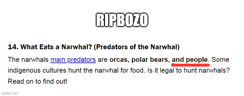 @Nar | RIPBOZO | made w/ Imgflip meme maker