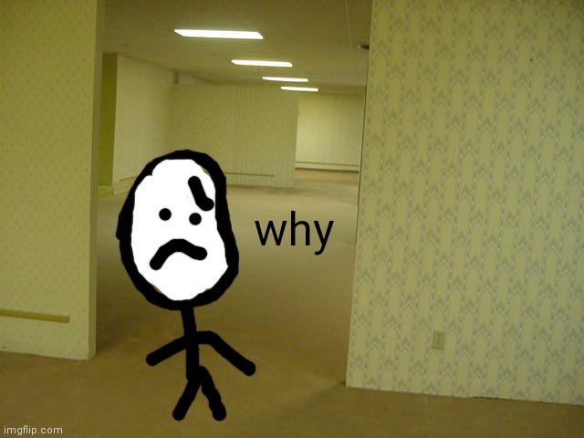 me in the backrooms | why | image tagged in the backrooms | made w/ Imgflip meme maker