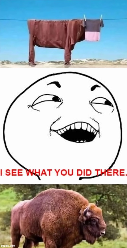 image tagged in i see what you did there | made w/ Imgflip meme maker