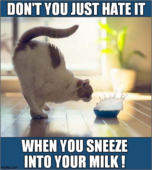 A Cats Disappointment | DON'T YOU JUST HATE IT; WHEN YOU SNEEZE INTO YOUR MILK ! | image tagged in cats,milk,sneeze | made w/ Imgflip meme maker