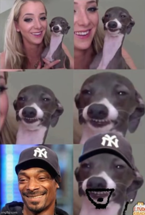 image tagged in snoop dogg | made w/ Imgflip meme maker