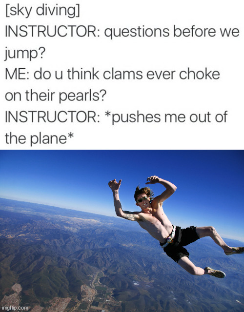 image tagged in skydive without a parachute | made w/ Imgflip meme maker