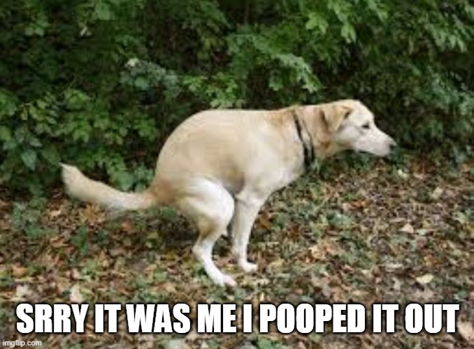 Dog pooping  | SRRY IT WAS ME I POOPED IT OUT | image tagged in dog pooping | made w/ Imgflip meme maker