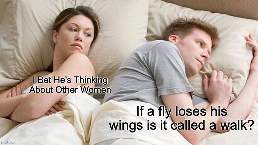 I Bet He's Thinking About Other Women Meme | I Bet He's Thinking About Other Women; If a fly loses his wings is it called a walk? | image tagged in memes,i bet he's thinking about other women | made w/ Imgflip meme maker