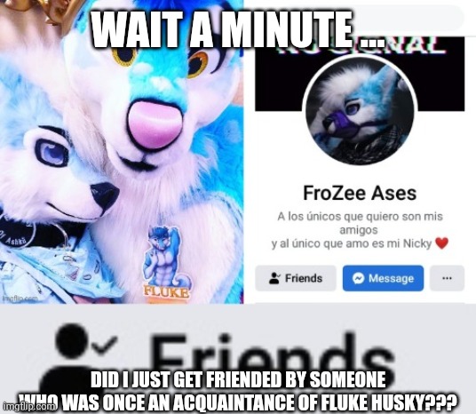 *dies* | WAIT A MINUTE ... DID I JUST GET FRIENDED BY SOMEONE WHO WAS ONCE AN ACQUAINTANCE OF FLUKE HUSKY??? | image tagged in furry,facebook,fluke husky | made w/ Imgflip meme maker
