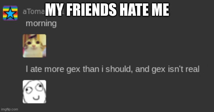 they really do... | MY FRIENDS HATE ME | image tagged in my friends hate me,gex | made w/ Imgflip meme maker