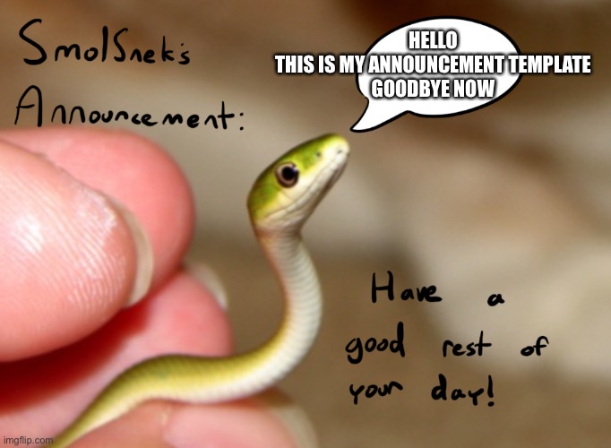  HELLO
THIS IS MY ANNOUNCEMENT TEMPLATE
GOODBYE NOW | image tagged in smolsnek s announcement template | made w/ Imgflip meme maker