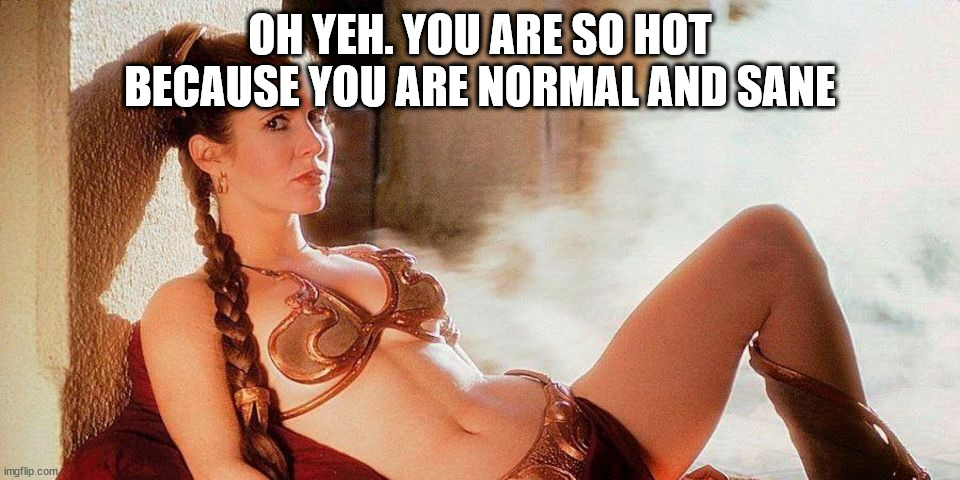 Star Wars Slave Leia | OH YEH. YOU ARE SO HOT BECAUSE YOU ARE NORMAL AND SANE | image tagged in star wars slave leia | made w/ Imgflip meme maker
