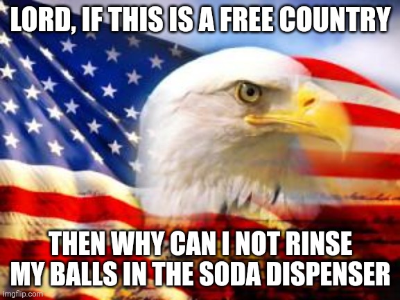 Why lord.... | LORD, IF THIS IS A FREE COUNTRY; THEN WHY CAN I NOT RINSE MY BALLS IN THE SODA DISPENSER | image tagged in american flag,stupid joke | made w/ Imgflip meme maker
