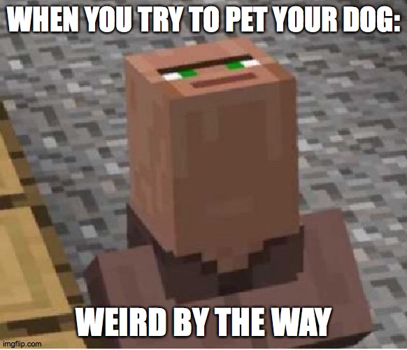 Minecraft Villager Looking Up | WHEN YOU TRY TO PET YOUR DOG:; WEIRD BY THE WAY | image tagged in minecraft villager looking up | made w/ Imgflip meme maker