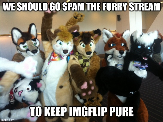 Furries | WE SHOULD GO SPAM THE FURRY STREAM; TO KEEP IMGFLIP PURE | image tagged in furries | made w/ Imgflip meme maker