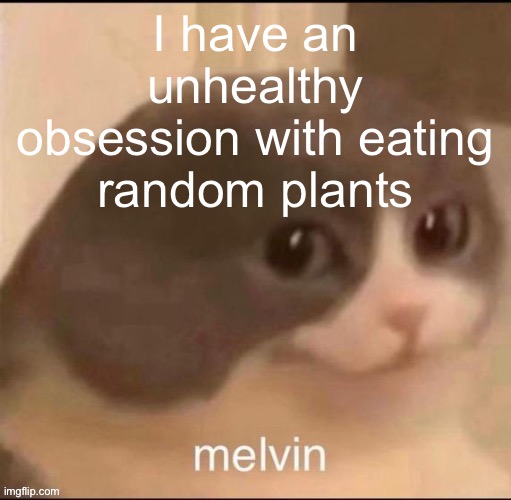 Like every time i see a flower my brain is like “haha wouldn’t it be really funny if you ate that” | I have an unhealthy obsession with eating random plants | image tagged in melvin | made w/ Imgflip meme maker