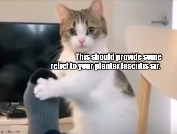 Cat Foot Massage - Imgflip